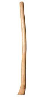 Medium Size Natural Finish Didgeridoo (TW1658)